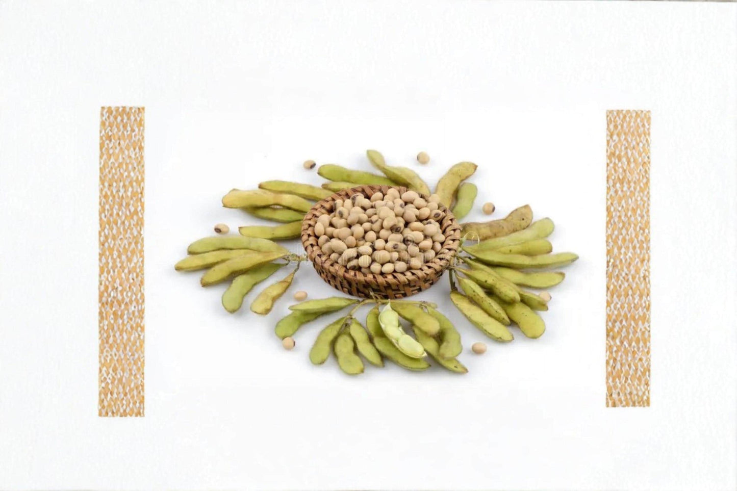 Soybean Meal 2, Glycine max, Soil Conditioner & Animal Feed, Organic Fertilizer, High-Protein Agricultural Byproduct
