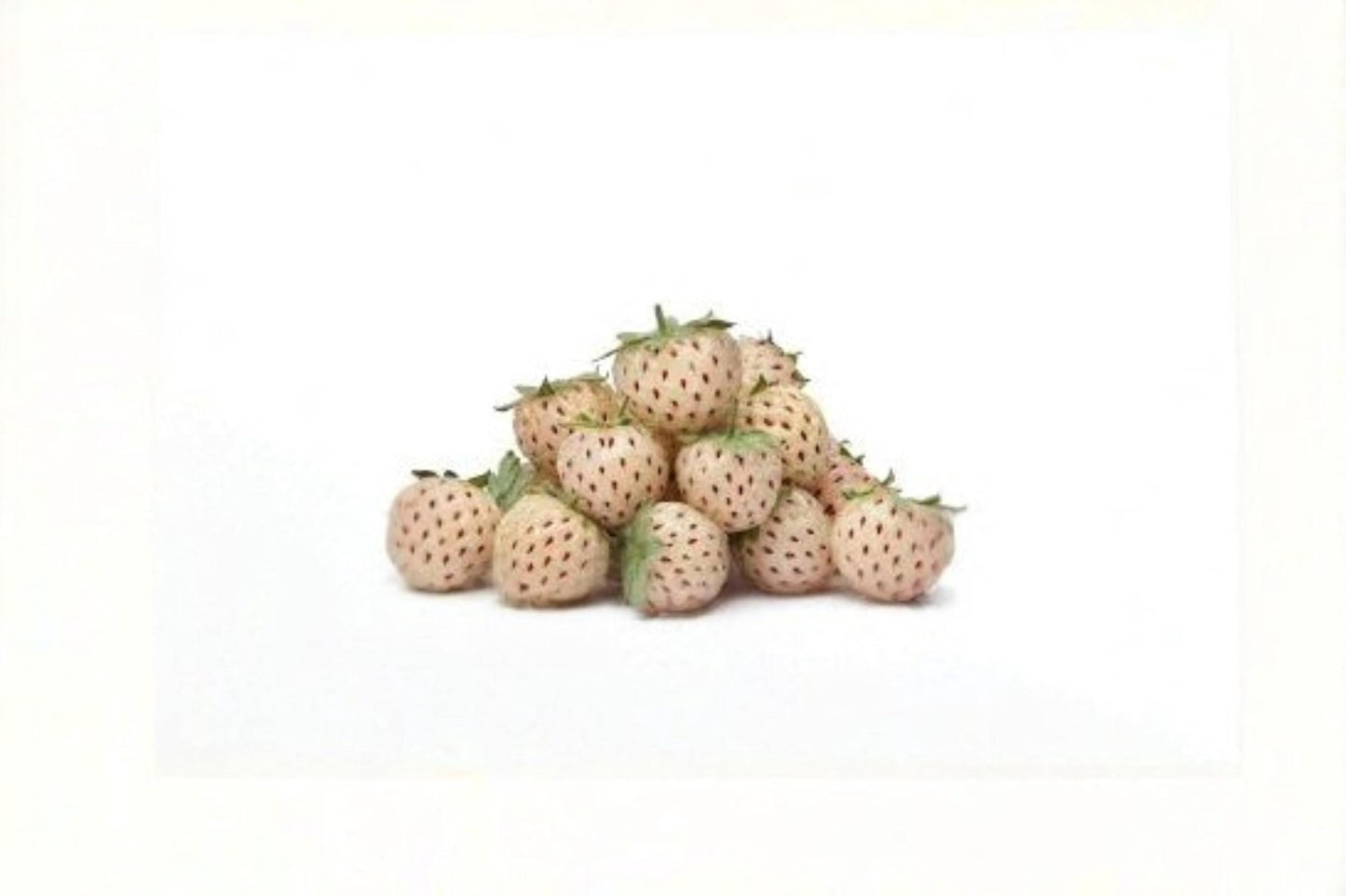 White Pineberry Strawberry Seeds – Fragaria × ananassa, Unique White Fruit, Edible Garden Berries, Ornamental Strawberry Plant