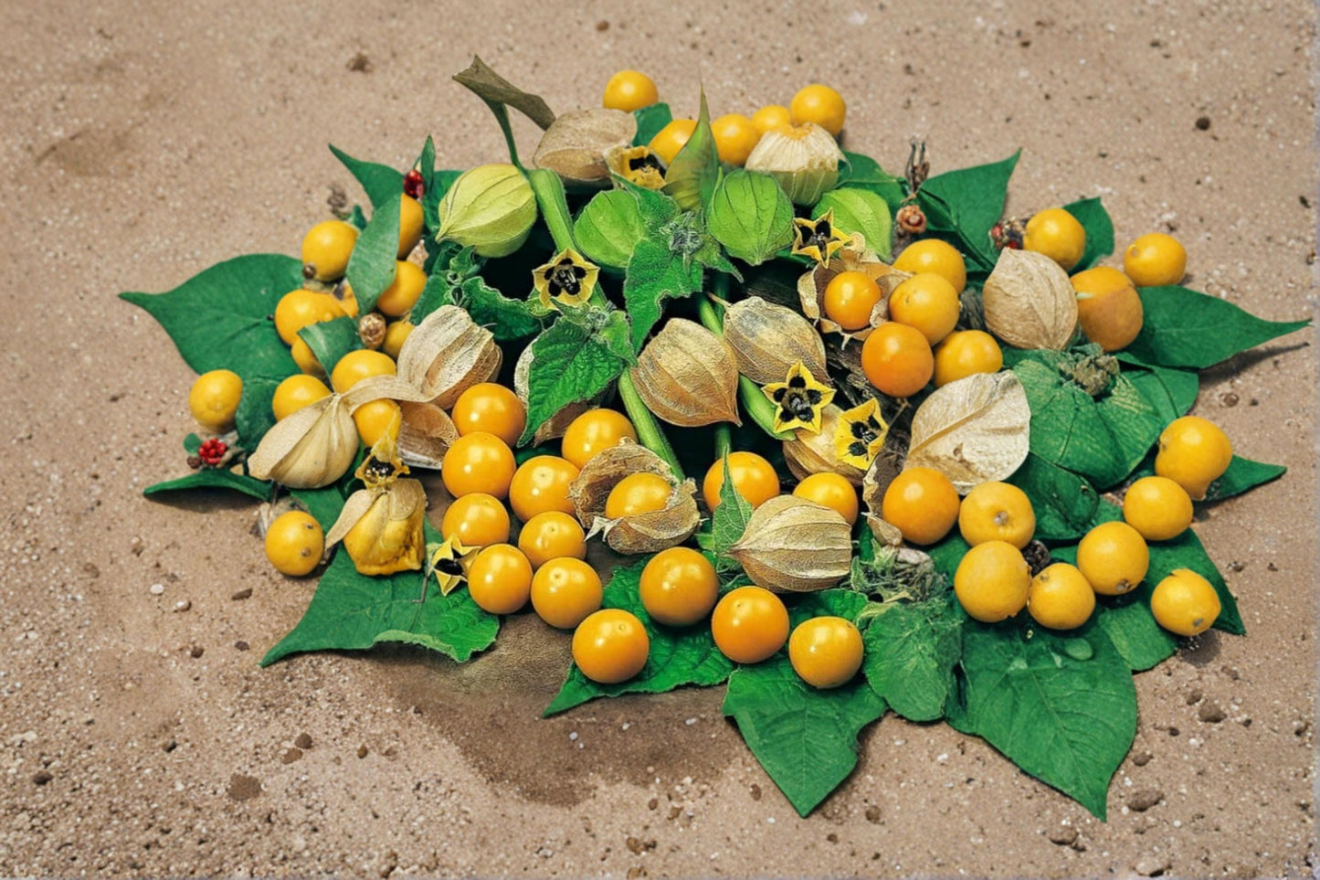 Pineapple Tomatillo Seeds – Heirloom Physalis ixocarpa for Vegetable Gardens & Containers, Yellow Fruit
