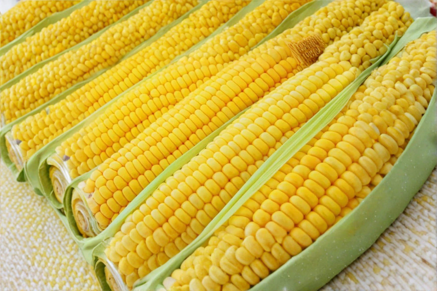 Incredible Yellow Sweet Corn Seeds – Hybrid Zea mays, Large Yellow Ears, Fast-Growing Vegetable for Garden & Raised Beds