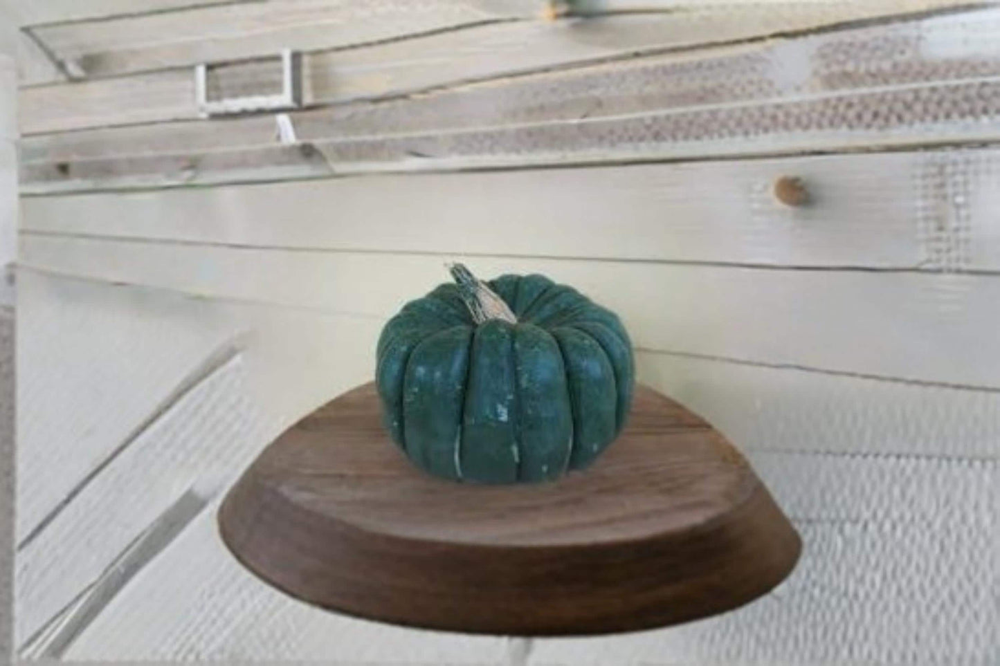 Green Jade Knight Pumpkin Seeds – Cucurbita maxima Heirloom Ornamental Green Pumpkins for Fall Garden and Decor (10 Seeds)
