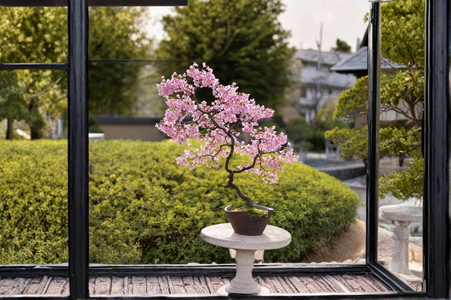 Cherry Tree Bonsai Seeds – Prunus spp. Ornamental Flowering Tree for Bonsai & Container Growing