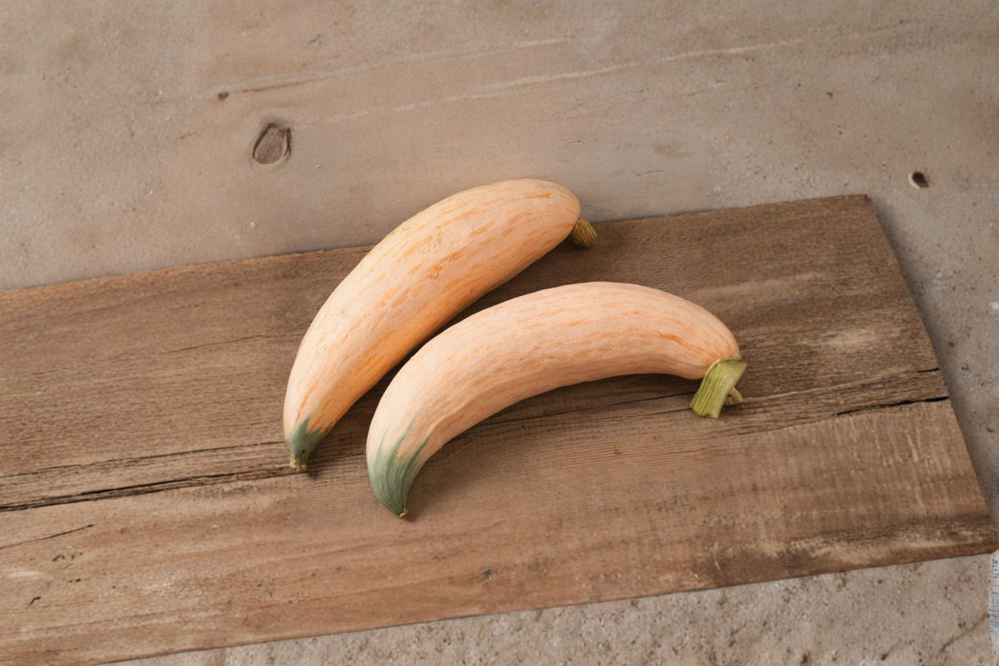 North Georgia Candy Roaster Squash Seeds – Heirloom Cucurbita maxima for Home Garden, Winter Squash, Edible Fruit
