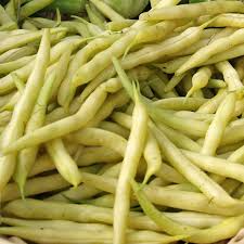 Golden Wax Bean Seeds – Non-GMO Yellow Bush Beans for Garden, Phaseolus vulgaris, Tender, Crisp, Easy to Grow