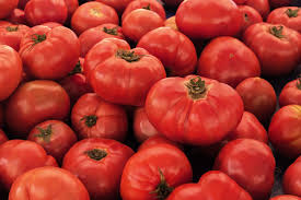 VR Moscow Tomato Seeds 100mg Heirloom Solanum lycopersicum Disease-Resistant for Gardening & Slicing