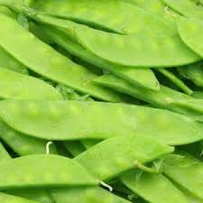 Snow Dwarf Sugar Grey Pea Seeds | Heirloom Pisum sativum for Gardening & Fresh Harvests | 40 Seeds