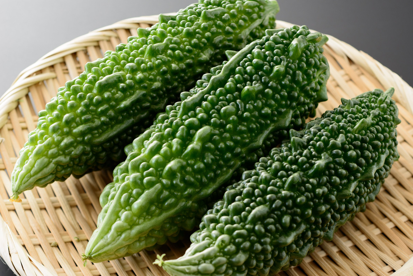 5 Seeds Gourd Bitter Futo Spindle Hybrid Momordica charantia Non-GMO for Planting, Gardening, Fresh Harvests