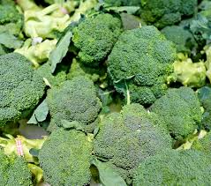 Bulk Broccoli Seeds 2000 Pack for Microgreens & Planting - Brassica oleracea Non-GMO Vegetable Seeds