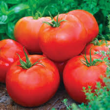 100 mg Ace 55 Tomato Seeds - Heirloom Solanum lycopersicum Low-Acid Red Tomato for Slicing & Cooking, Home Garden Planting