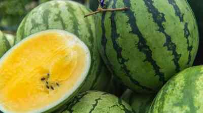 Yellow Baby Doll Watermelon Seeds – Compact Early Harvest Citrullus lanatus with Bright Yellow Flesh, 50+ Seeds for Garden Planting