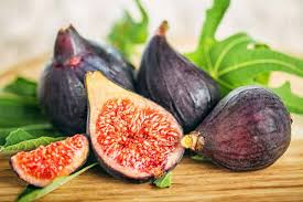 Ficus "Black Mission" Fig Tree Starter Plant - Hardy Ficus Carica, Edible Fruit, Indoor/Outdoor, Fresh, Home Garden