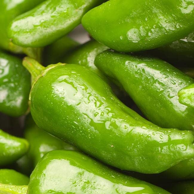 10 Seeds Padron Pepper (Capsicum annuum) – Mild, Flavorful Spanish Pepper for Cooking & Gardening