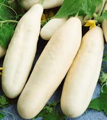 White Wonder Cucumber Seeds – Heirloom, White Skin, Crisp Texture, Sweet Flavor, Heat-Tolerant, 50 Seeds Cucumis sativus