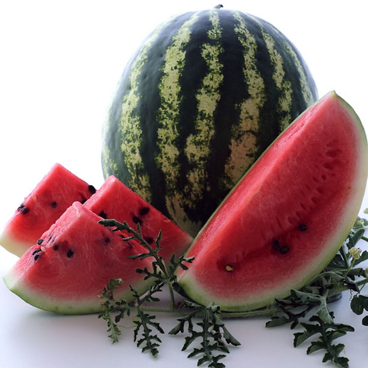 Crimson Sweet Watermelon Seeds – Heirloom, Juicy, Large Fruit, Citrullus lanatus, Summer Garden Plant, 25 Seeds