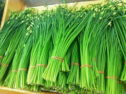 Flowering Chinese Leek Seeds – 250mg Heirloom Variety, Edible & Fragrant, Perennial Herb for Garden & Container Planting