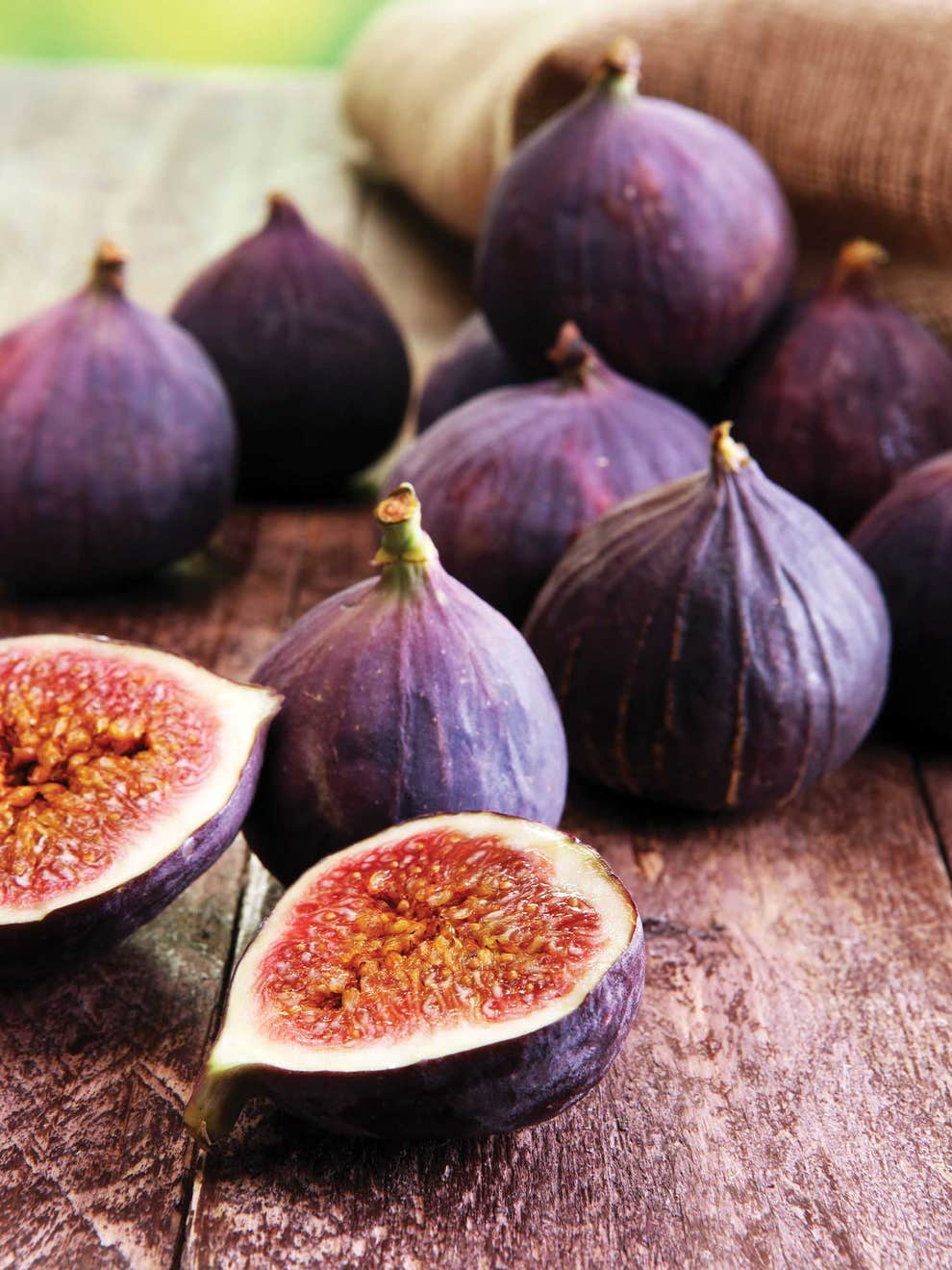 Violette de Bordeaux Fig Cuttings for Propagation, Purple-Black Figs, Drought-Resistant, Small Dwarf Tree, Ficus carica