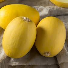 1000 mg Spaghetti Winter Squash Seeds - Cucurbita pepo Heirloom Vegetable for Gardening and Healthy Pasta Alternative