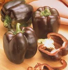 Chocolate Beauty Pepper Seeds β Capsicum annuum, Sweet Bell, Rich Chocolate Color, Non-GMO, Heirloom, Crisp & Juicy