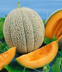 Hale’s Best Jumbo Melon Seeds – Heirloom Cantaloupe, Sweet & Juicy, High Yield, Heat Tolerant, Garden & Container Planting