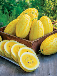 Gold In Gold Hybrid Watermelon Seeds - 50+ USA Grown Yellow Flesh Fruit Seeds for Home Garden, High Yield, Sweet Melons