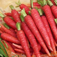 Atomic Red Carrot Seeds – Vibrant Red, Nutrient-Rich, Sweet Flavor, Daucus carota, 150 Seeds