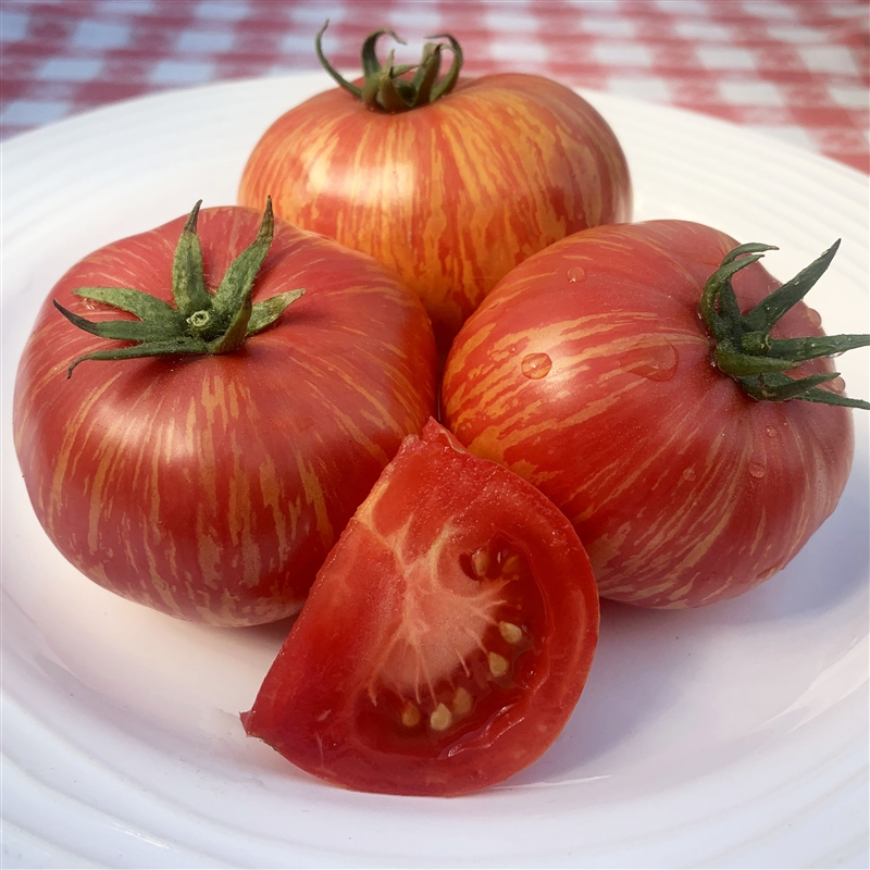 Vintage Wine Tomato Seeds – Heirloom Striped Pink & Gold, Juicy Beefsteak, Indeterminate Solanum lycopersicum