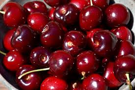 Lambert Cherry Tree Scion Cuttings x3 β Sweet Red Cherries for Grafting, Fruit Tree Propagation, Home Orchard, Prunus avium