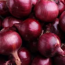 Red Grano Onion Seeds – 250mg, Short-Day Variety, Mild Sweet Flavor, Red Skin, Allium cepa, for Slicing & Cooking