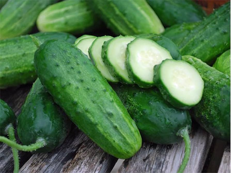 Boston Pickling Cucumber Seeds – Heirloom, Non-GMO, 2-6" Pickling Cucumbers, Creeping Vine, Cucumis sativus