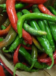 Hot Cayenne Red Long Pepper Seeds – Capsicum annuum, Heirloom Spicy Pepper for Gardening & Culinary Use