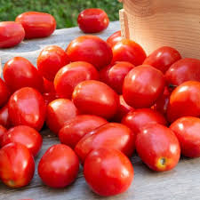 Heirloom Tomato Seeds Mix β 100 Varieties, Colorful, Open-Pollinated, Non-GMO, Lycopersicon esculentum