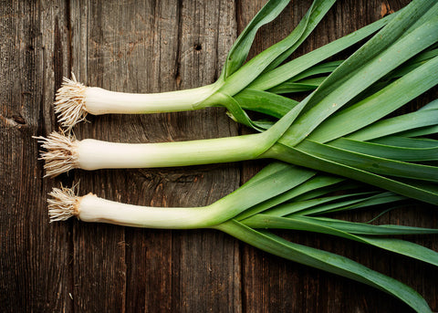 American Flag Leek Seeds – Heirloom Allium ampeloprasum for Cold-Hardy Gourmet Cooking, Soup & Winter Harvest