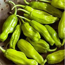 Golden Greek Pepperoncini Seeds – Mild Capsicum annuum for Pickling, Salads & Garnishes, 30 Seeds