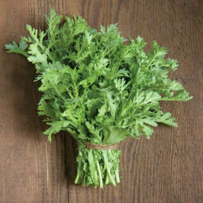 500 Shungiku Seeds - Edible Chrysanthemum Asian Greens for Salads & Stir-Fries - Glebionis coronaria