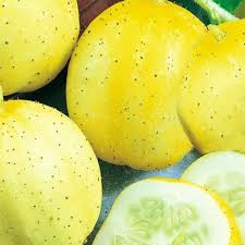 Lemon Cucumber Seeds - Heirloom, Non-GMO, Round & Sweet, Salad & Pickling, Cucumis sativus