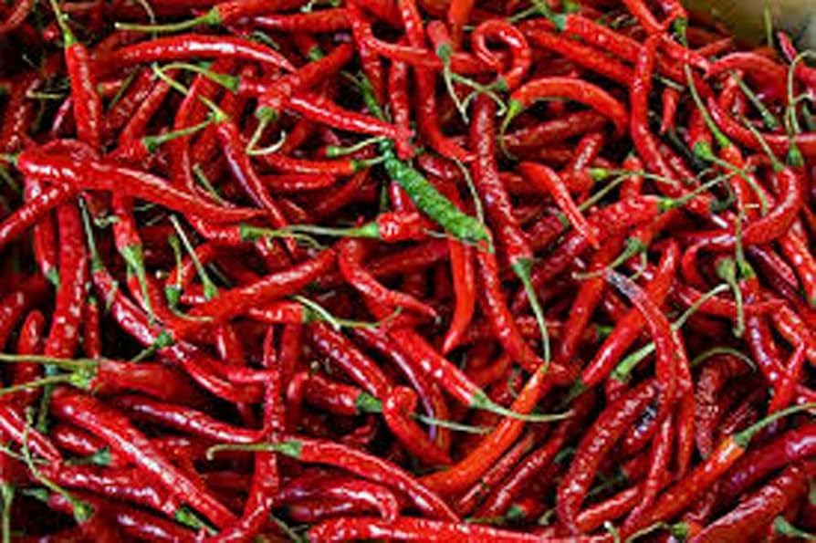 Cayenne Long Thin Pepper Seeds, Capsicum Annuum, Spicy Chili for Cooking & Drying, 30 Seeds