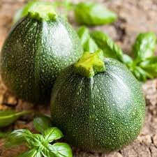 Summer Squash Round Zucchini Seeds, 1g, Cucurbita pepo, High-Yield, Non-GMO, Easy Grow, Edible Vegetable, Compact Plant