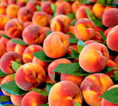 3 Peach Tree Seeds - Dwarf Nemaguard Prunus persica - Fast-Growing Hardy Fruit Tree for Home Orchard