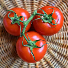 Floradade Heirloom Tomato Seeds | Heat-Tolerant, Disease-Resistant, Red Fruit, Solanum Lycopersicum