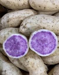 Hawaii Okinawa Purple Sweet Potato Slips - No Roots, Easy to Grow, Fast Growing, Ipomoea batatas, Edible Root Vegetable