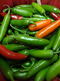 25 Serrano Pepper Seeds – Heirloom Capsicum annuum, Spicy, High-Yielding, Medium-Hot Chili for Salsas & Hot Sauces