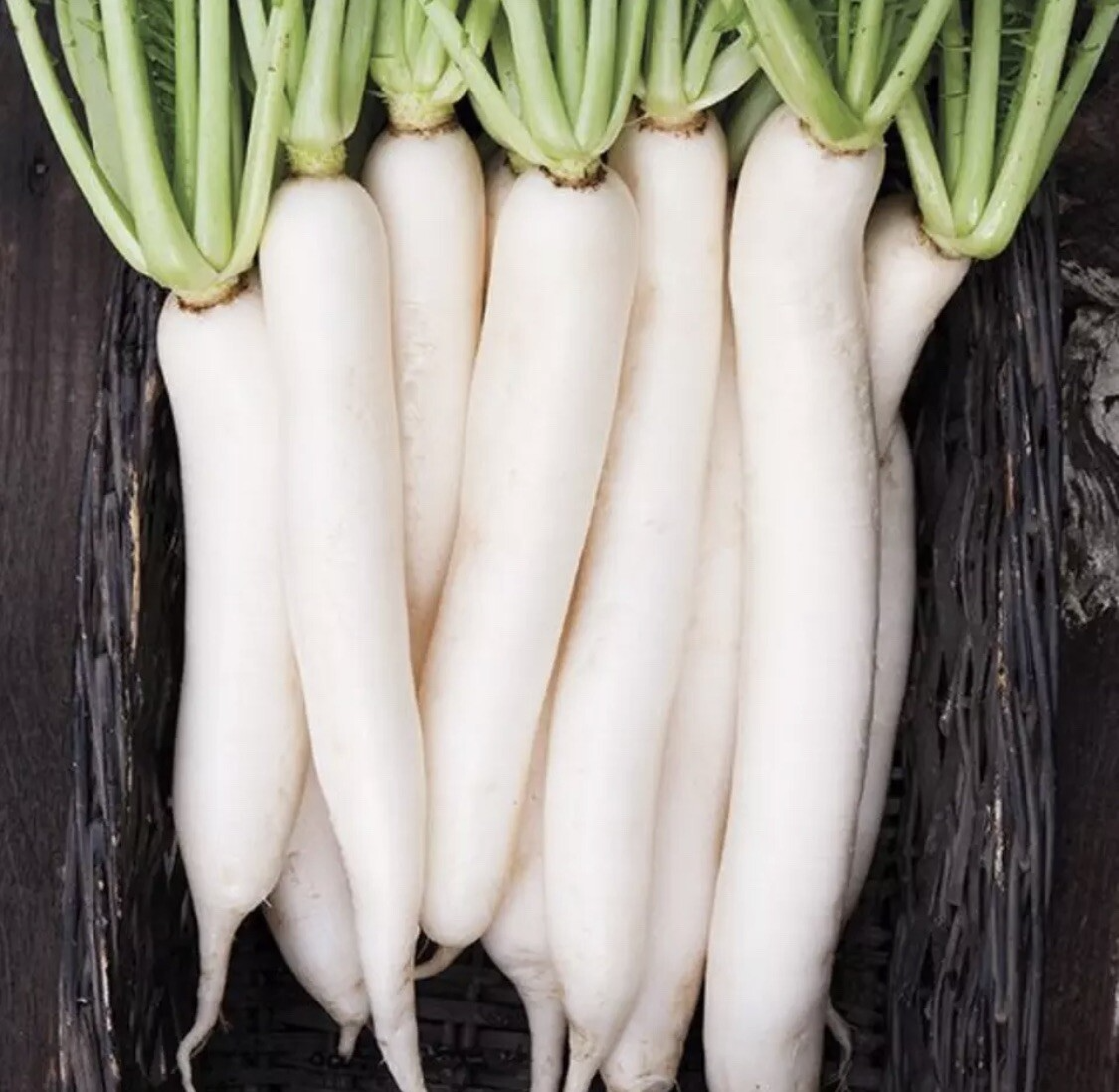 100 Seeds Miyashige Daikon Radish - White Japanese Long Root, Crisp & Sweet, Easy to Grow, Raphanus sativus var. longipinnatus