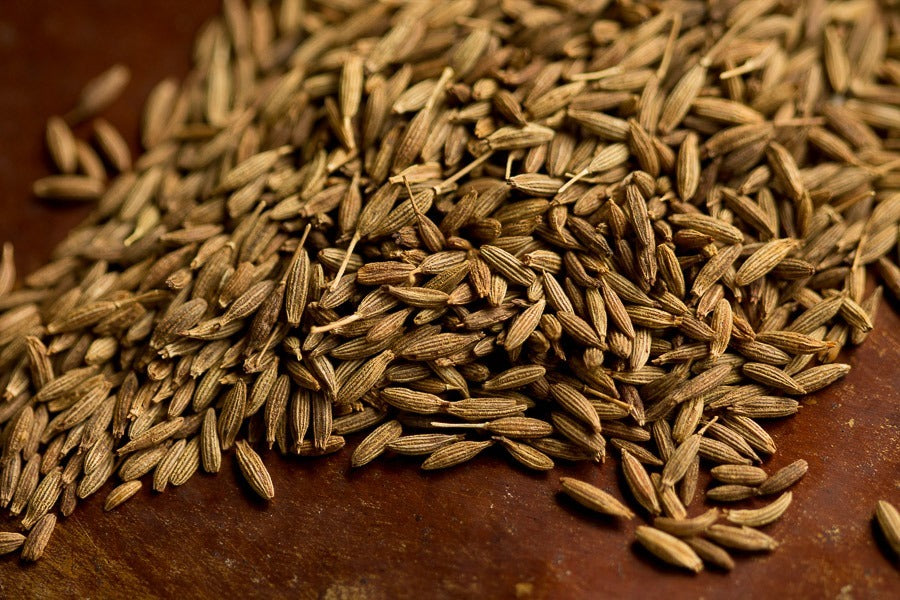 Cumin Seeds 250 Pack | Aromatic Culinary Herb for Cooking | Cuminum cyminum