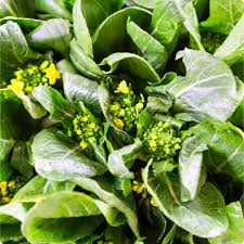 Yu Choy Sum Seeds 500mg - Heirloom Non-GMO Brassica rapa var. parachinensis for Stir-Fries & Gardening
