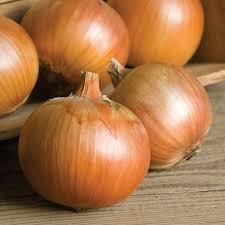 Patterson Onion Seeds 500+ Long-Day Storage Onion Seeds for Vegetable Garden, Sweet & Mild Flavor, Allium cepa, USDA Zones 3-9