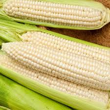Corn Seeds 5g Silver Queen Hybrid Sweet Corn Zea mays High-Yield Sweet Corn Easy to Grow