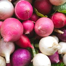 Easter Egg Radish Seeds 200 Pack - Colorful Blend, Crisp & Mild Raphanus sativus for Salad Gardens, Cool Weather Planting