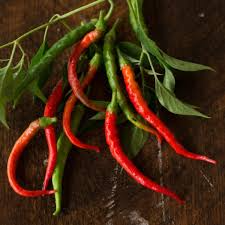 Cayenne Long Thin Pepper Seeds – Heirloom, Non-GMO, 30,000-50,000 Scoville, Hot Chili Seeds, Capsicum annuum, 75 Days, USDA Zones 4-10