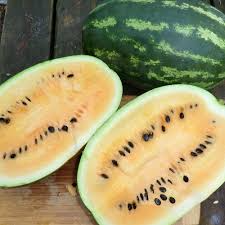 Mountain Sweet Yellow Watermelon Seeds – Heirloom Citrullus lanatus with Yellow Flesh – Summer Garden Fruit, 50+ Seeds