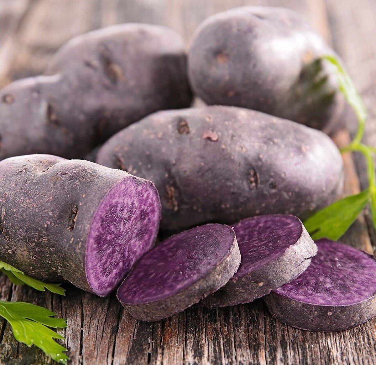 Blue Adirondack Seed Potatoes - USDA Certified 500g Purple Seed Potatoes for Planting, Nutrient-Rich, Vibrant, Versatile for Home Gardens